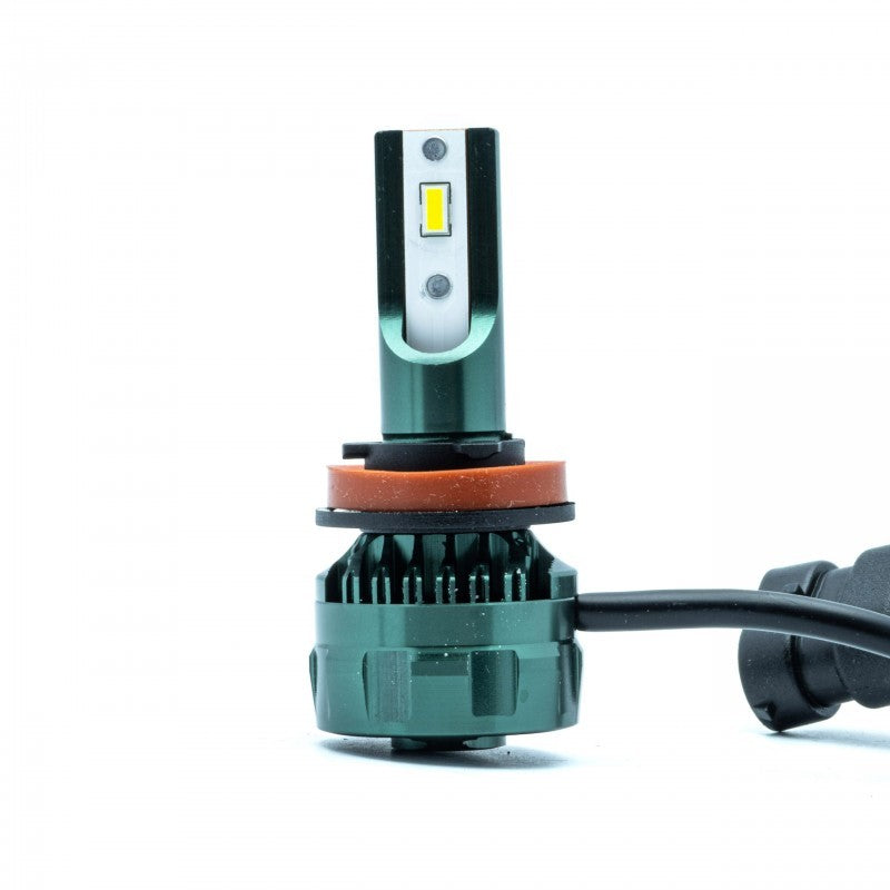 H11 LED bulbs (2 x LED FLIP CHIP) 6000K CANBUS 12/24V