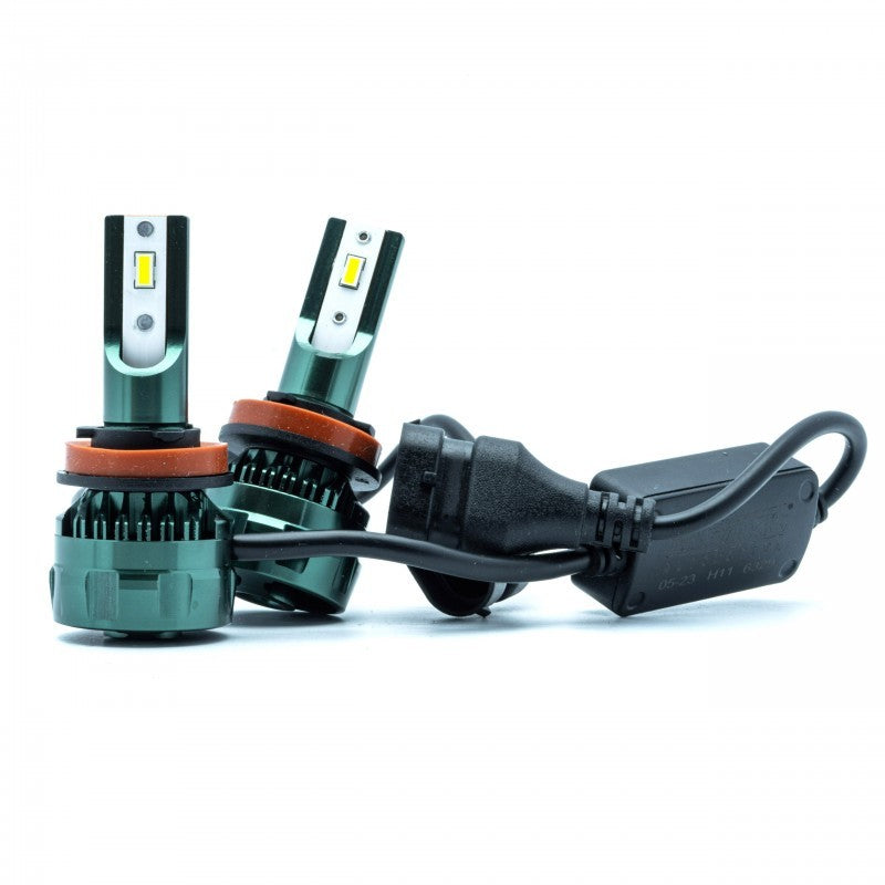 H11 LED bulbs (2 x LED FLIP CHIP) 6000K CANBUS 12/24V