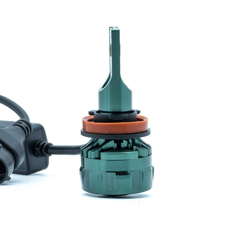 H11 LED bulbs (2 x LED FLIP CHIP) 6000K CANBUS 12/24V